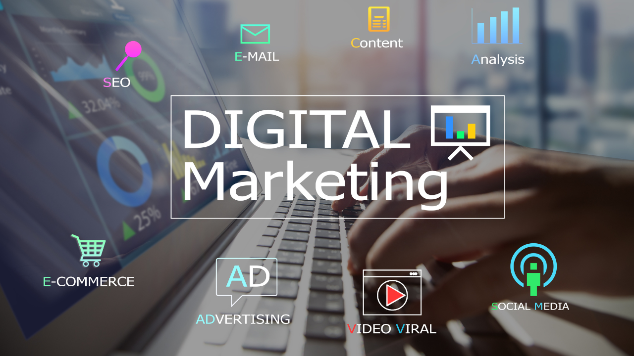 Primelis is the leading Digital Marketing Agency that serves companies that are of any size